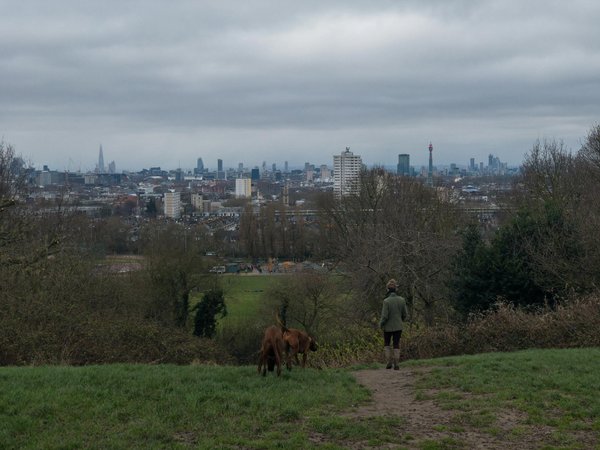 Les secrets d'une cage à lapin parfaite pour votre animal